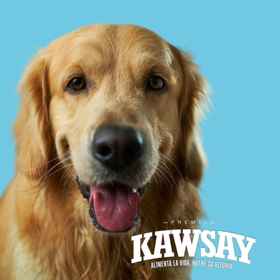 KAWSAY